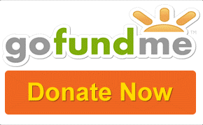 gofundme-donate-button